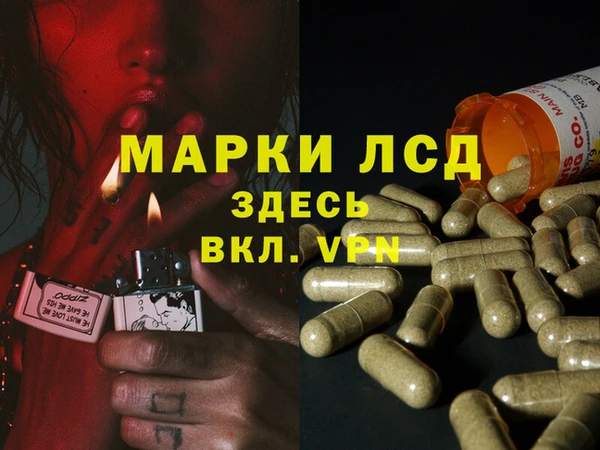 хмурый Абаза