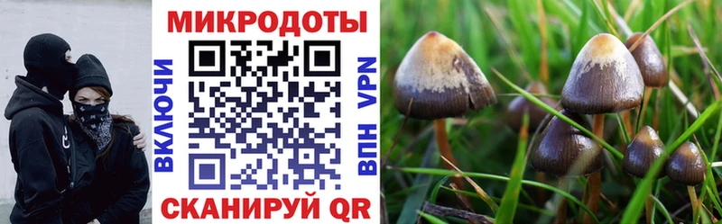 Галлюциногенные грибы Magic Shrooms Лангепас